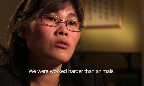 竹罐的神奇功效-竹罐的作用大全图片、竹罐功效大还是玻璃罐大 -竹罐的功效网