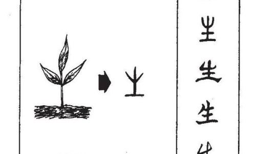 和玻璃罐有什么区别?-竹罐的作用大全图片、竹罐功效大还是玻璃罐大 -竹罐的功效网